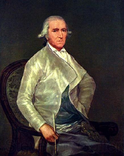 Francisco de Goya Portrait of the painter Francisco Bayeu France oil painting art